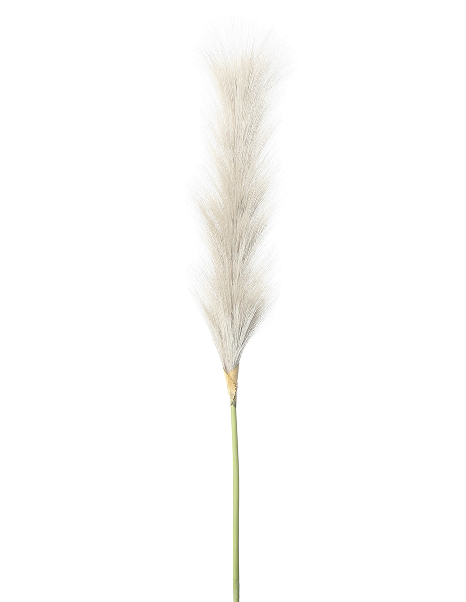 Pampa decorativa 2
