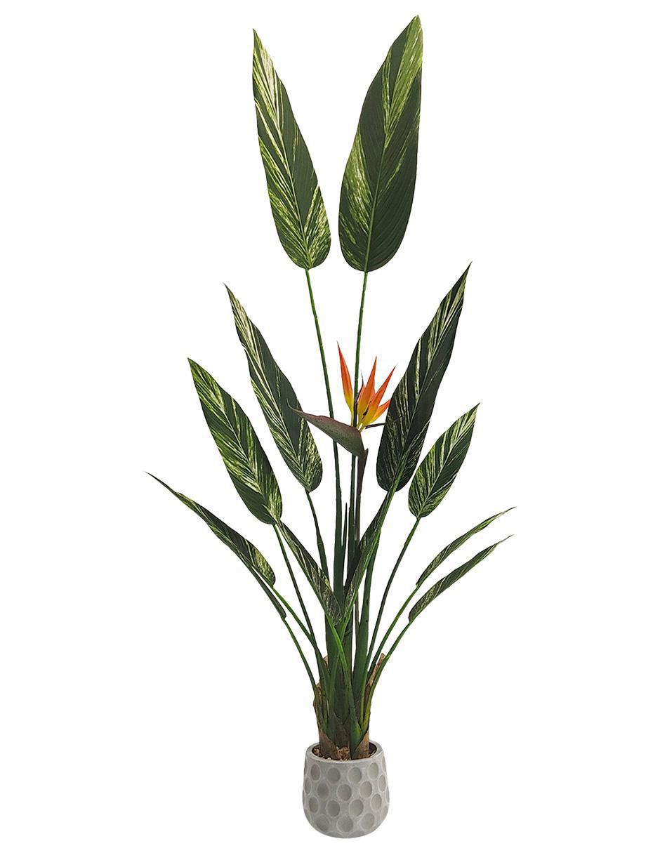 Alpinia zerumbet artificial Alpinia zerumbet artificial