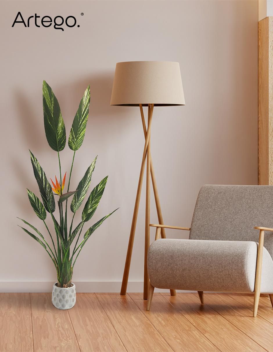 Alpinia zerumbet artificial 6