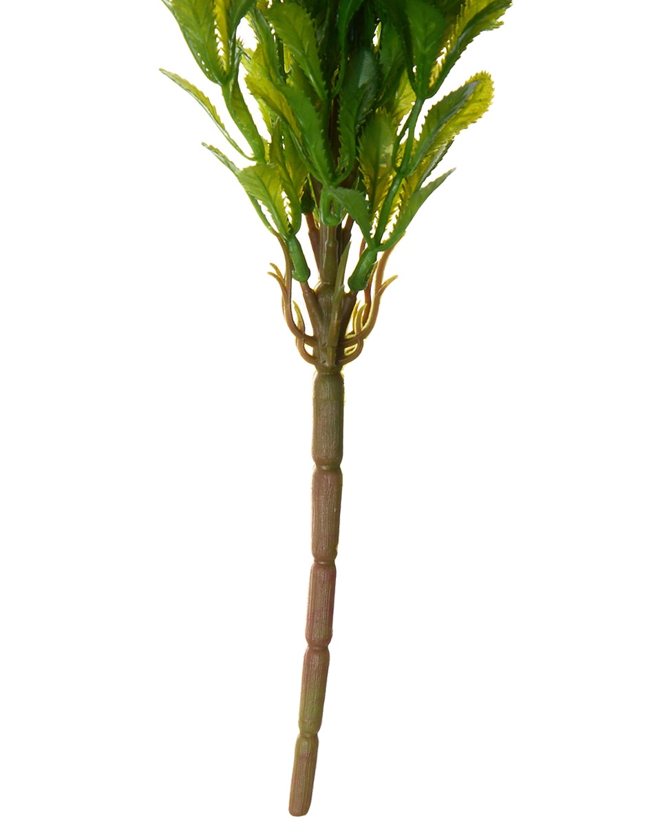 Vara de hiedra 3