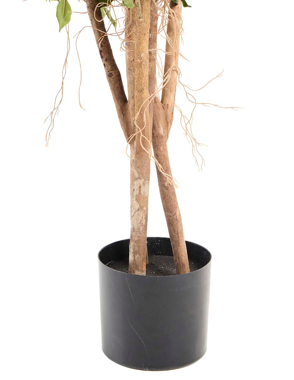 Árbol 3