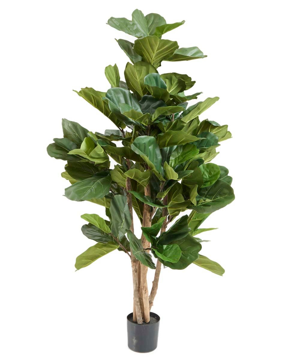 Árbol