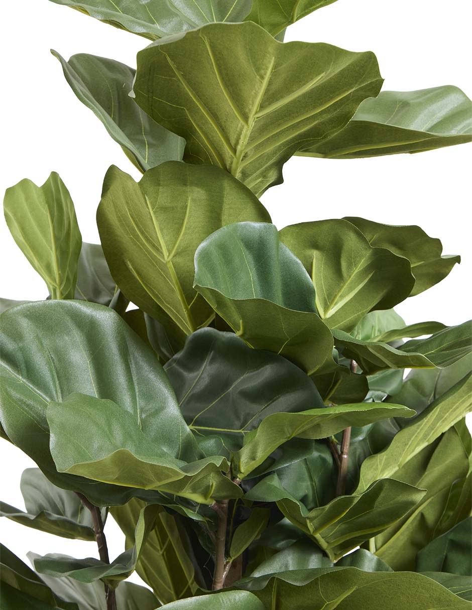Árbol 2