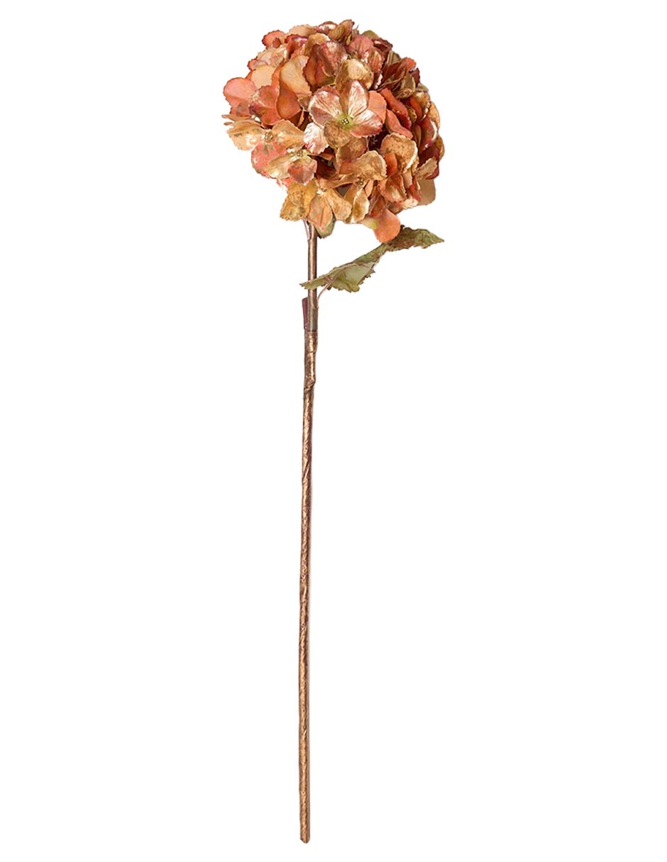Hortensia Hydra Metal 3