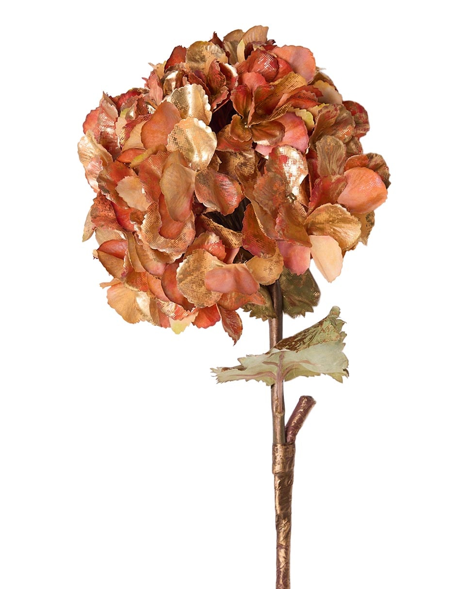 Hortensia Hydra Metal 3 2