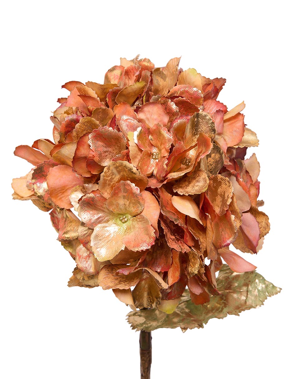 Hortensia Hydra Metal 3 3
