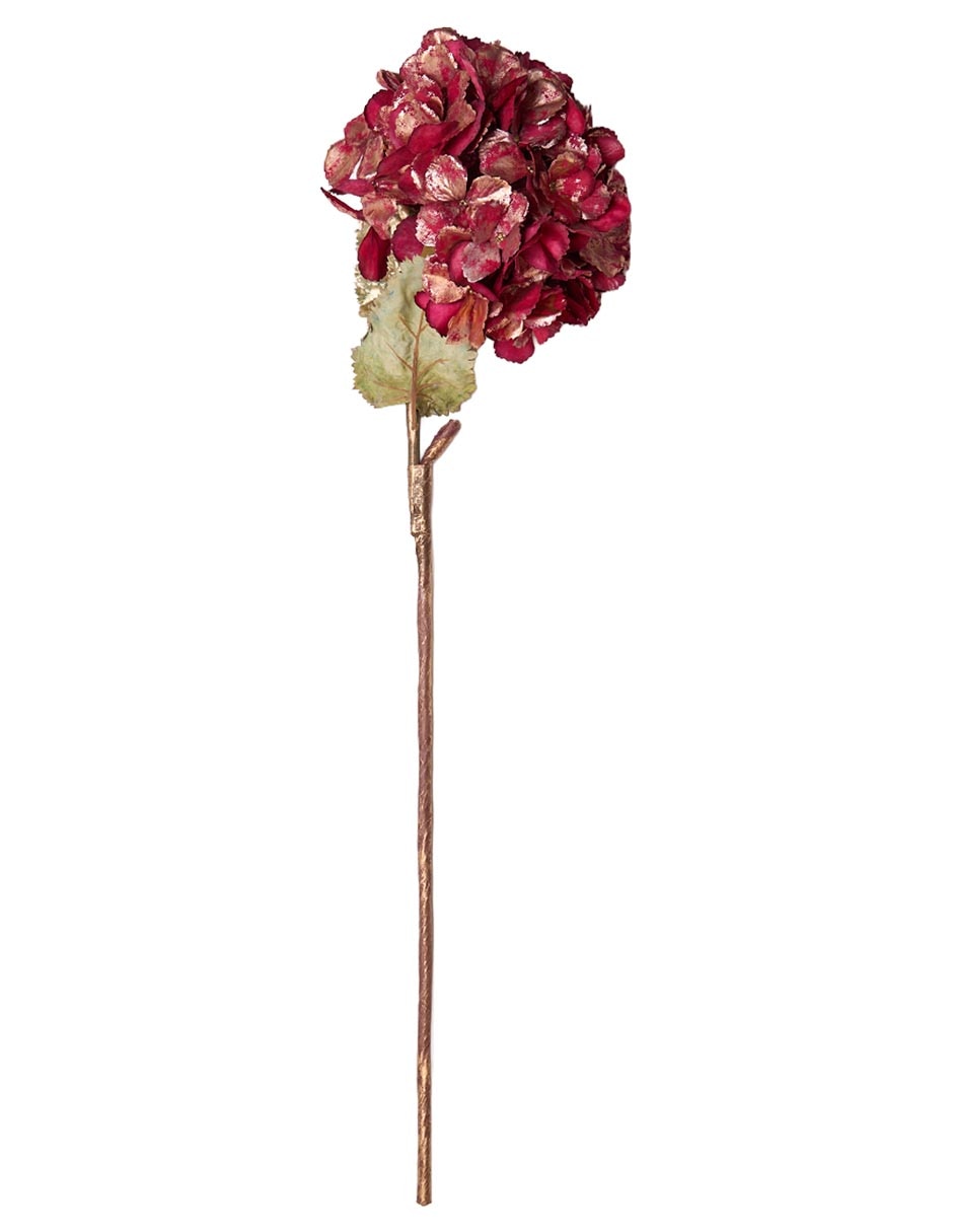Hortensia