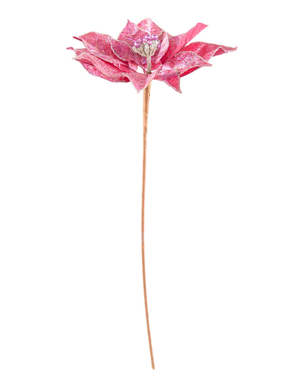 Flor de nochebuena