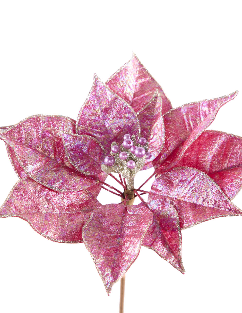 Flor de nochebuena 3