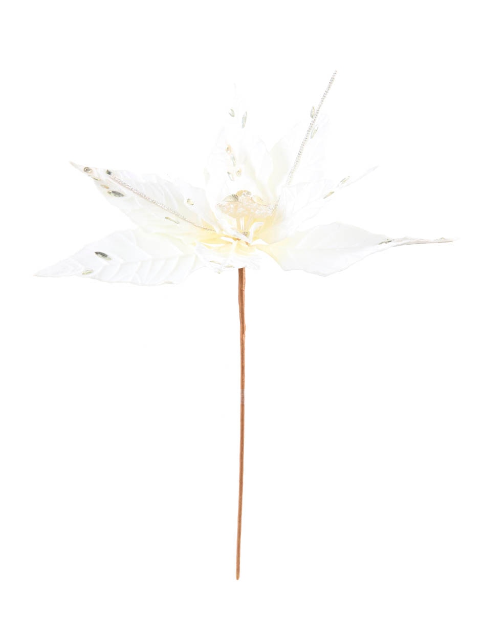Flor de noche buena