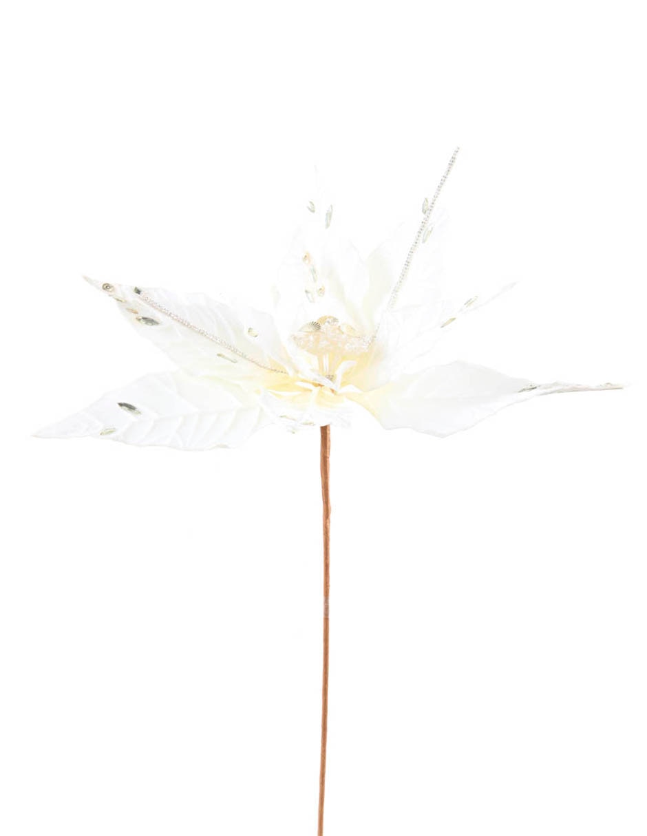 Flor de noche buena 2