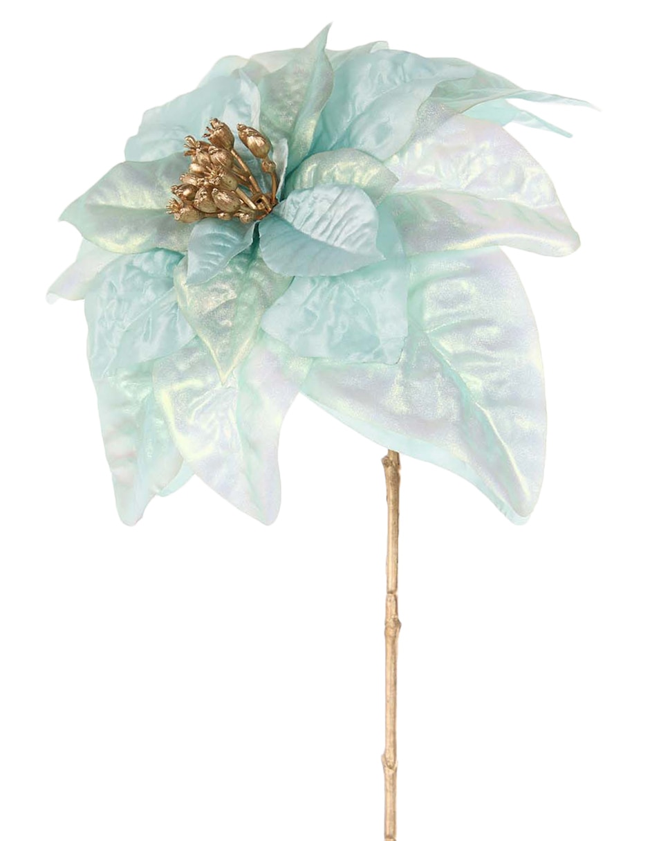 NOCHEBUENA, 63 CM, MORADO