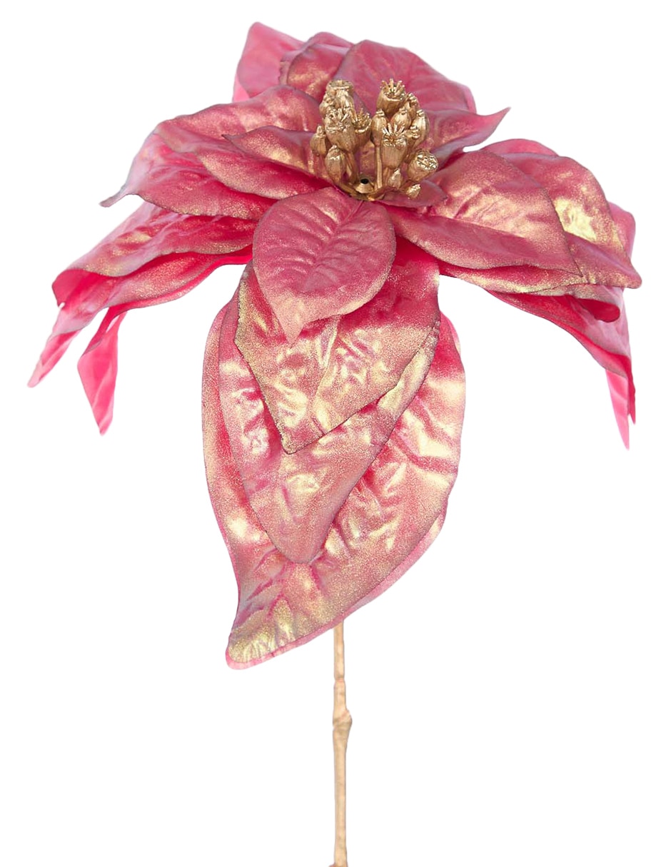 NOCHEBUENA, 63 CM, ROSA