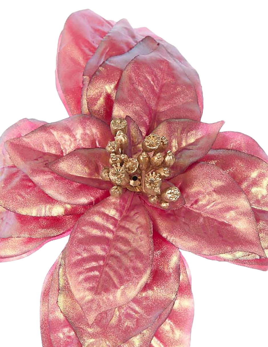 NOCHEBUENA, 63 CM, ROSA