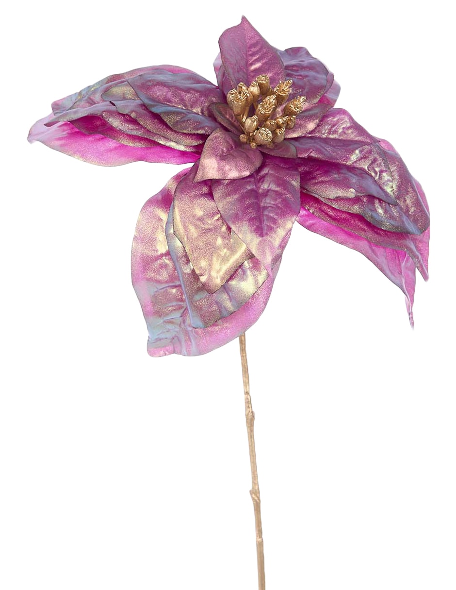 NOCHEBUENA, 63 CM, MORADO