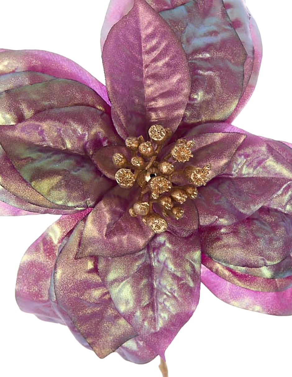 NOCHEBUENA, 63 CM, MORADO
