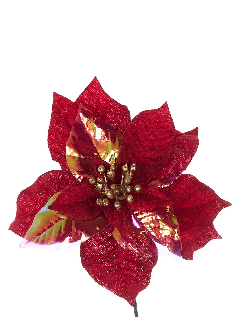 NOCHEBUENA, SIN TAMAÑO, ROJO