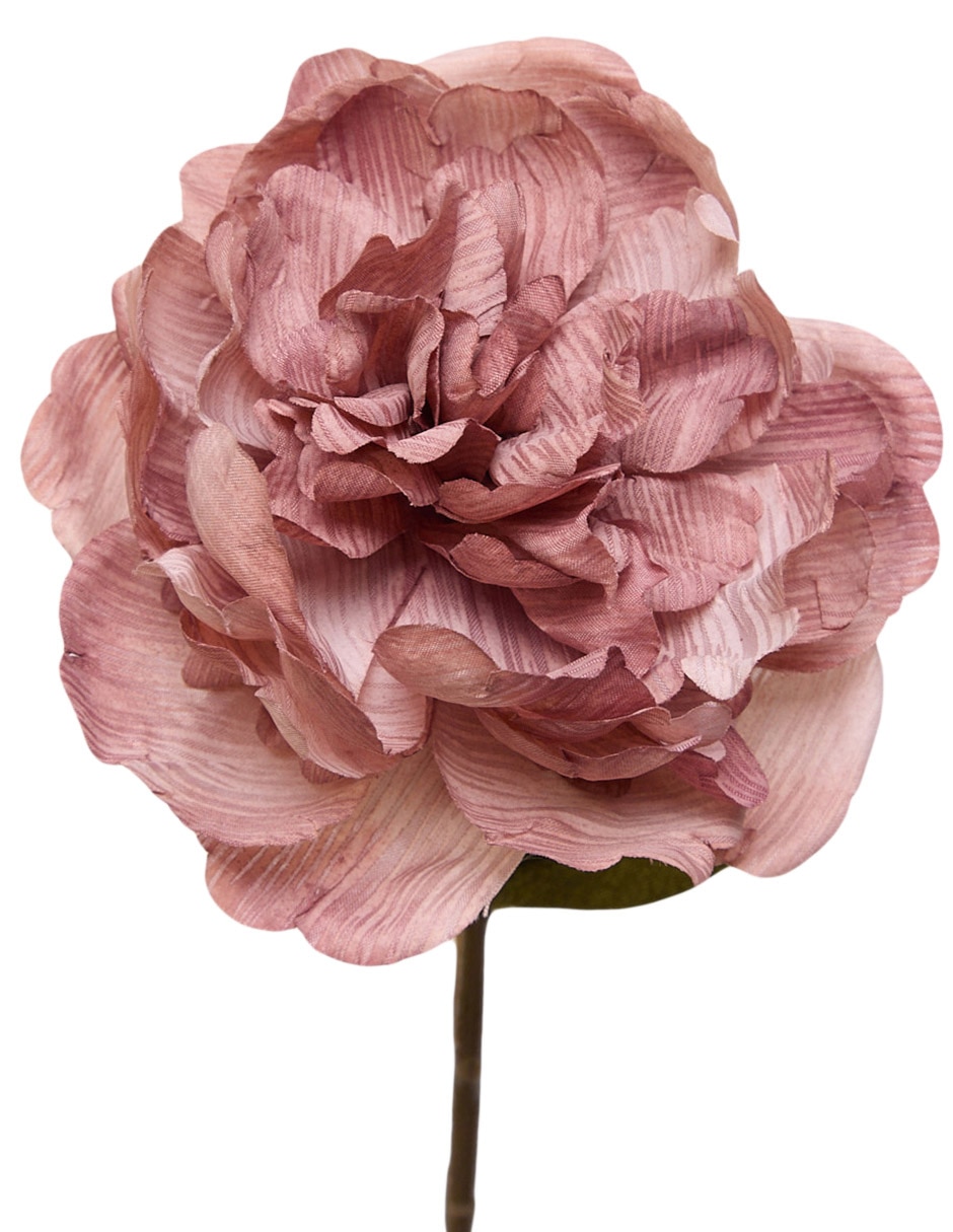 Peonia Nlebell & Co. Peon 4 Pu 3