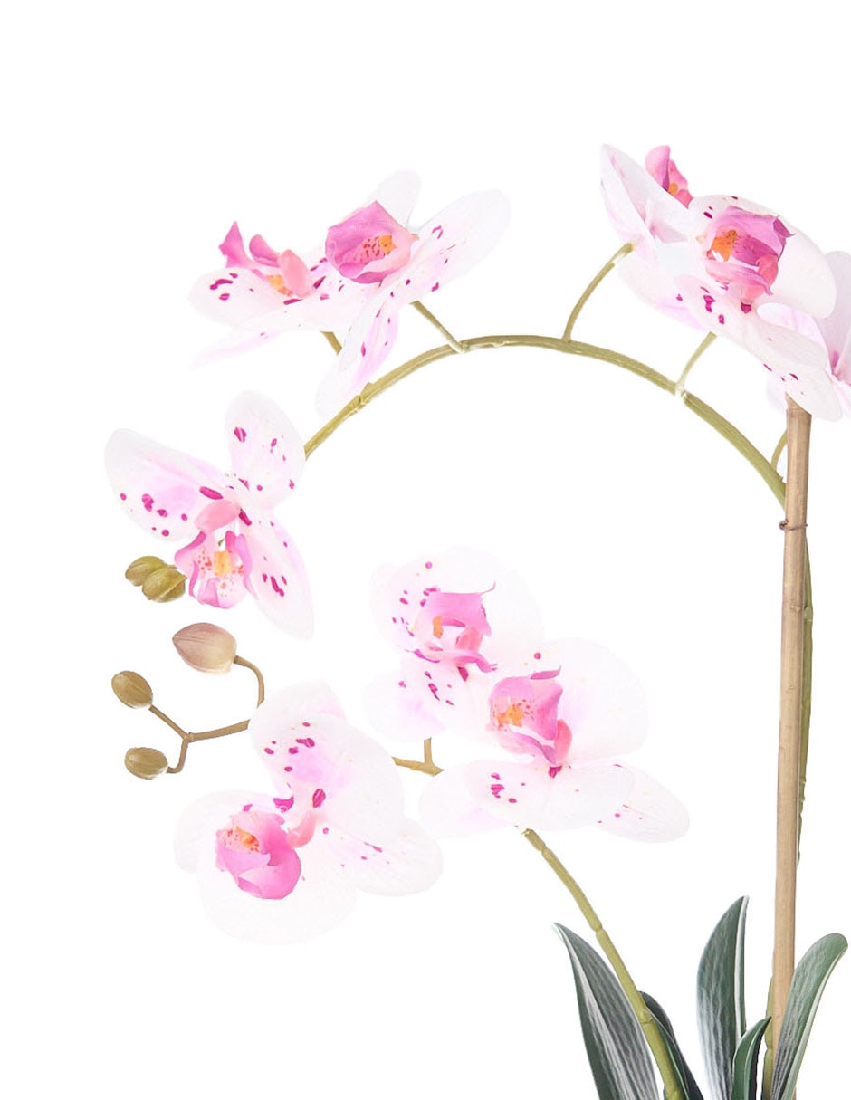 Preelaborado de orquídea 3