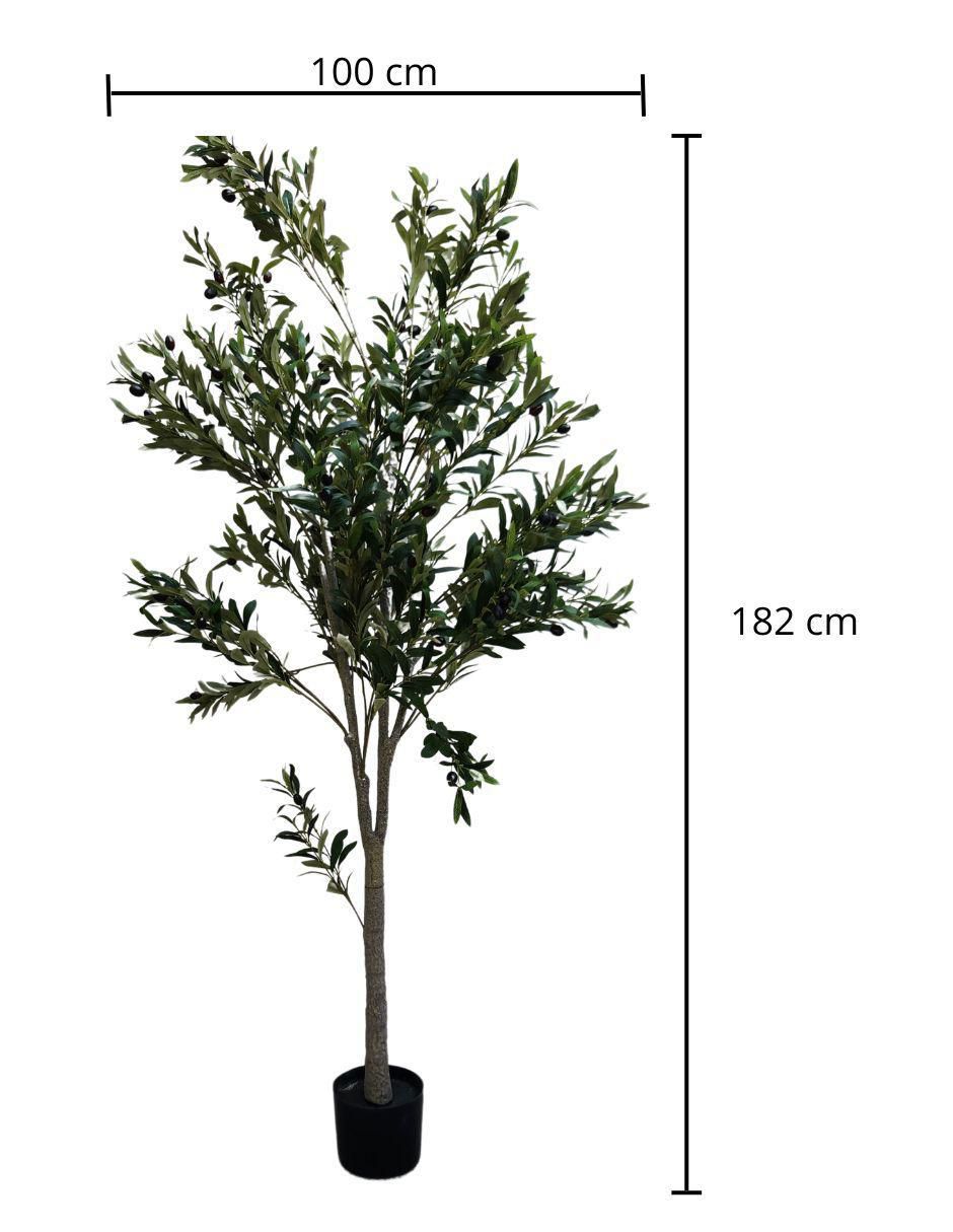 Árbol de olivo 3