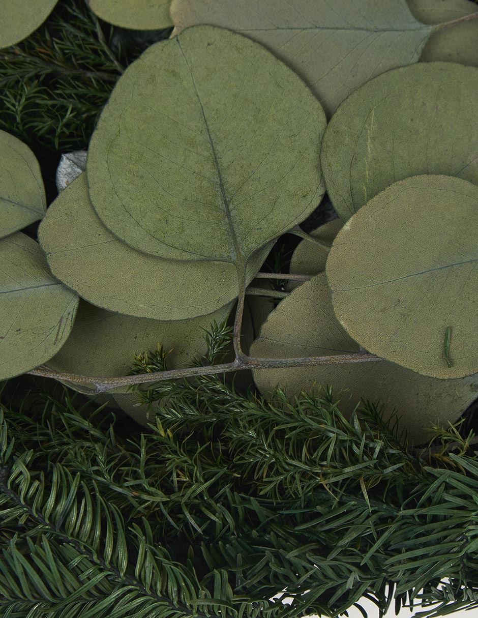 Ramo de eucalipto Artiflora 3