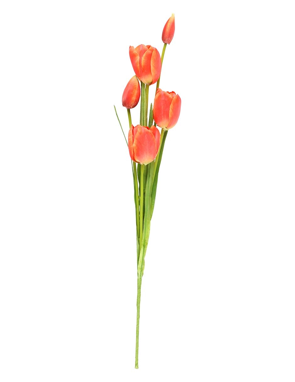 Ramo de tulipán
