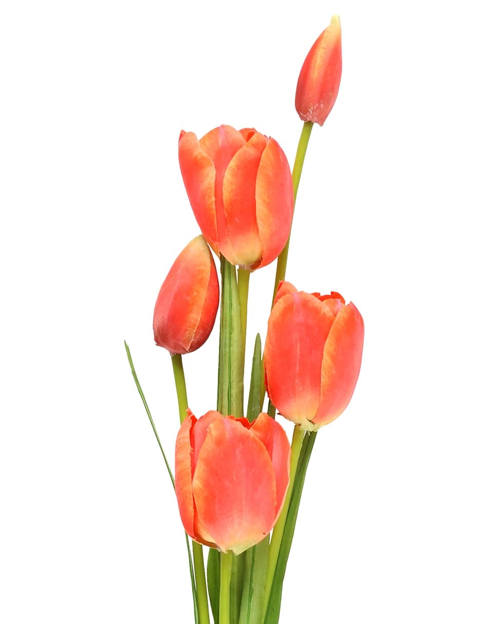 Ramo de tulipán 2