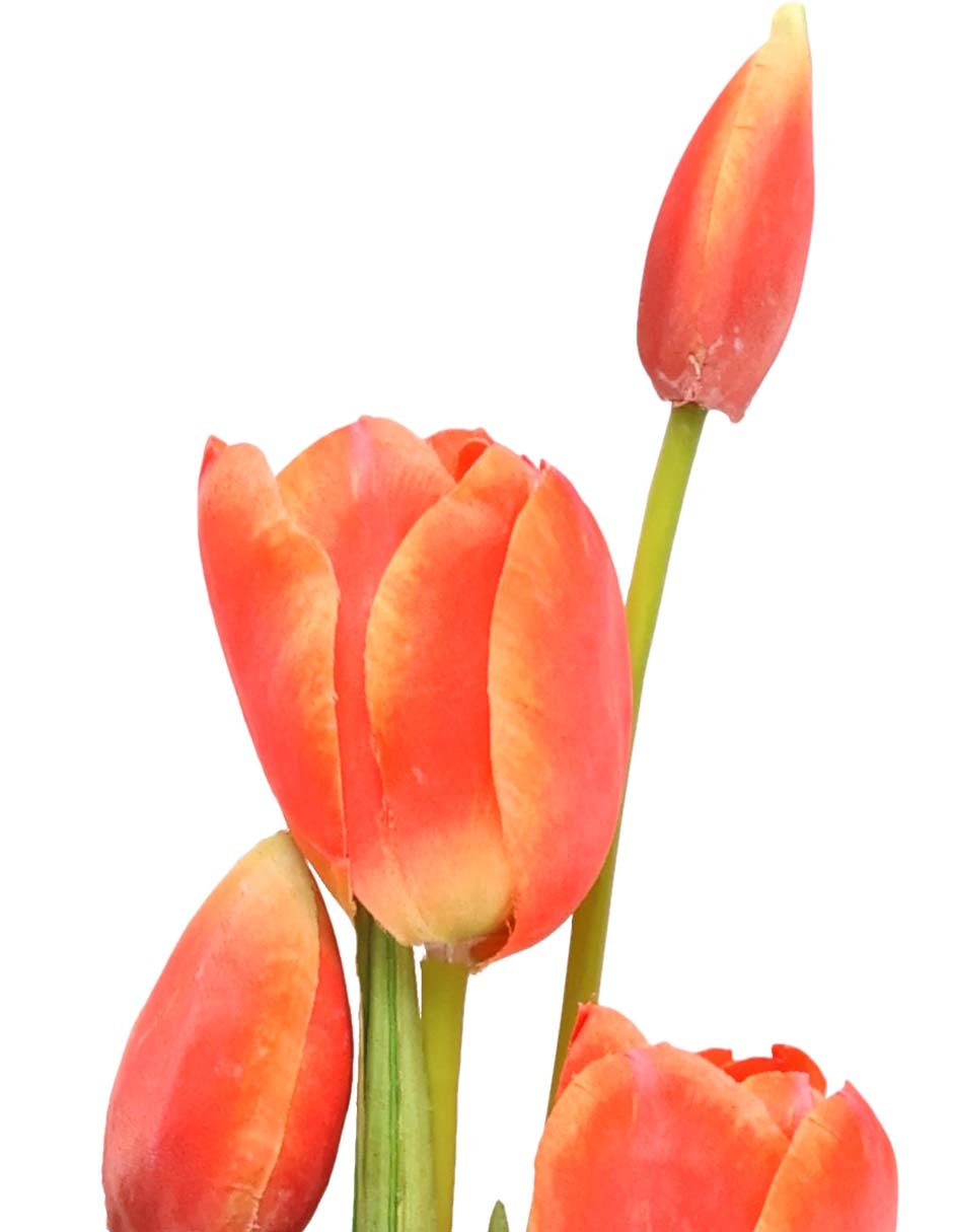 Ramo de tulipán 3