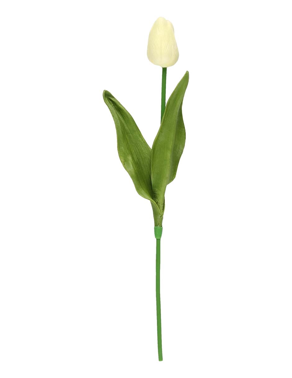 Flor de tulipán