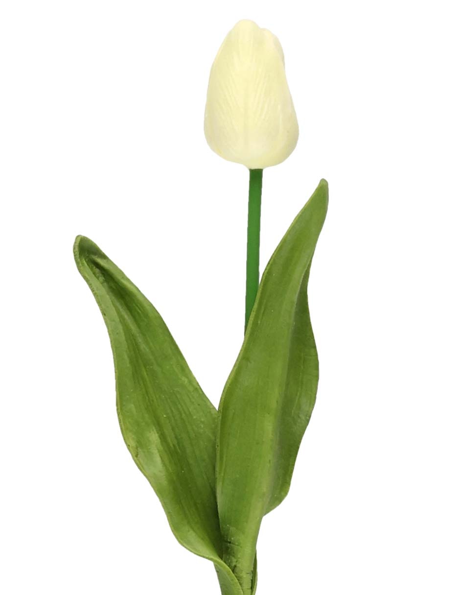 Flor de tulipán 2