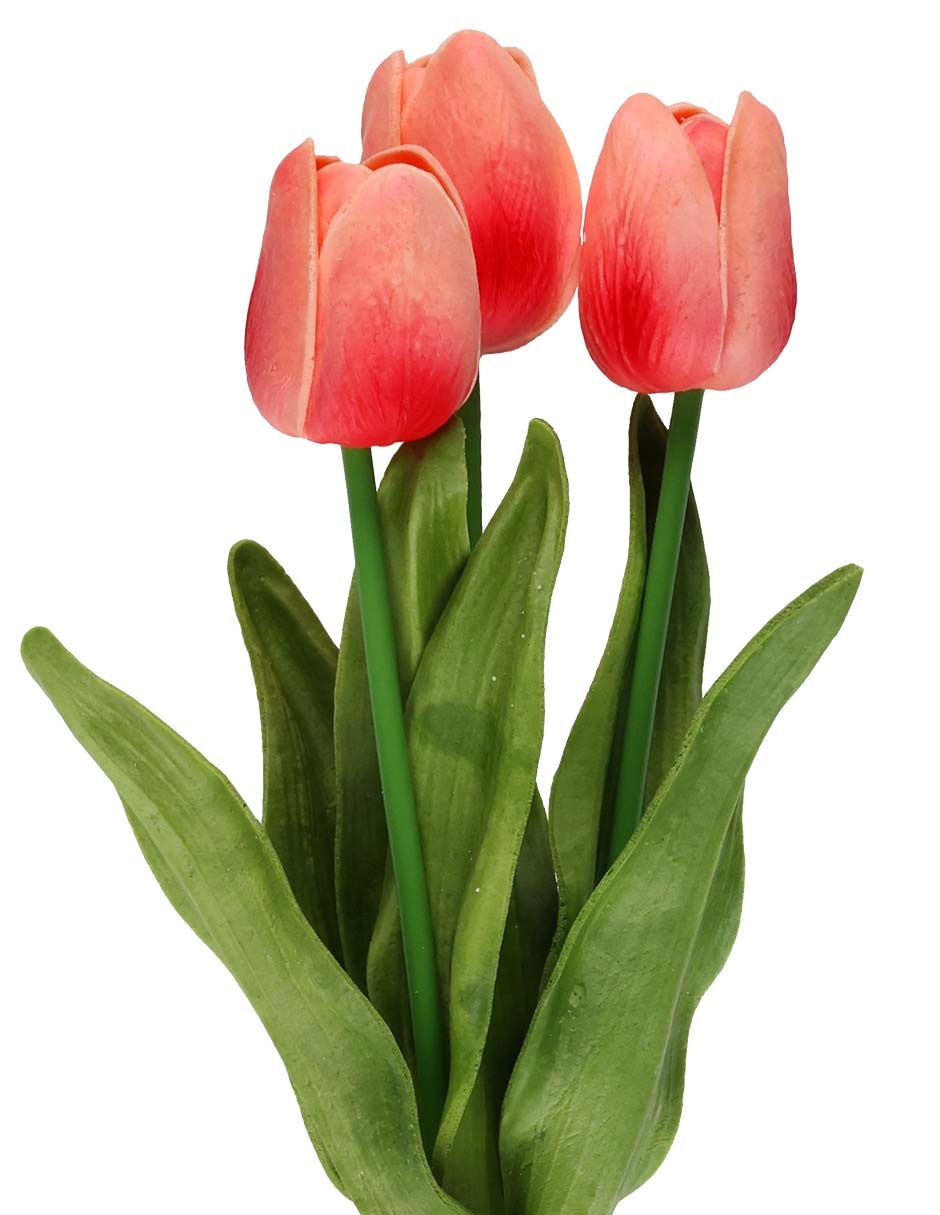 Ramo de tulipán 2
