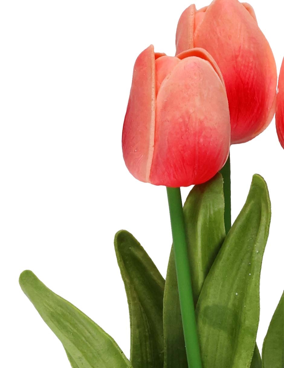 Ramo de tulipán 3