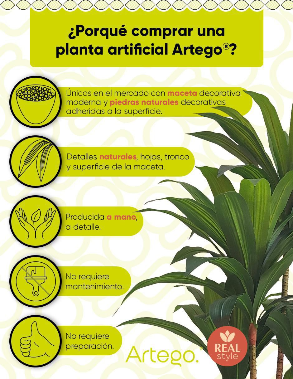 Palo de brasil artificial Congo 2