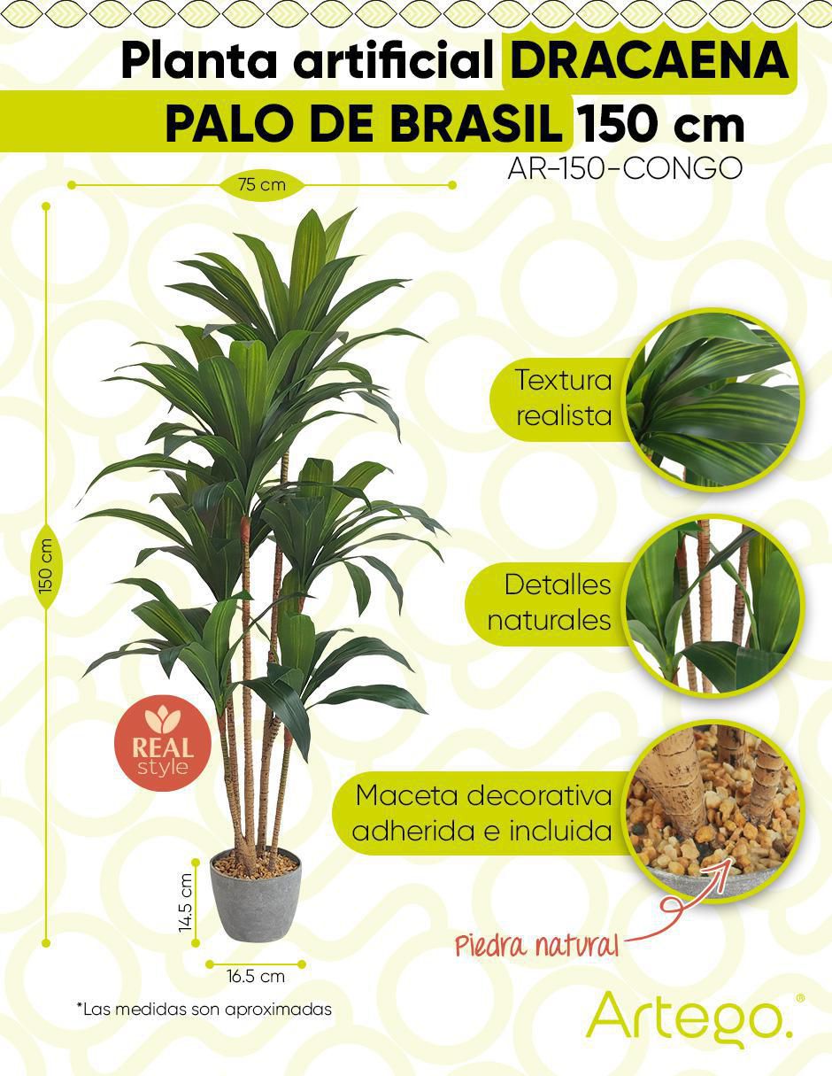 Palo de brasil artificial Congo 9
