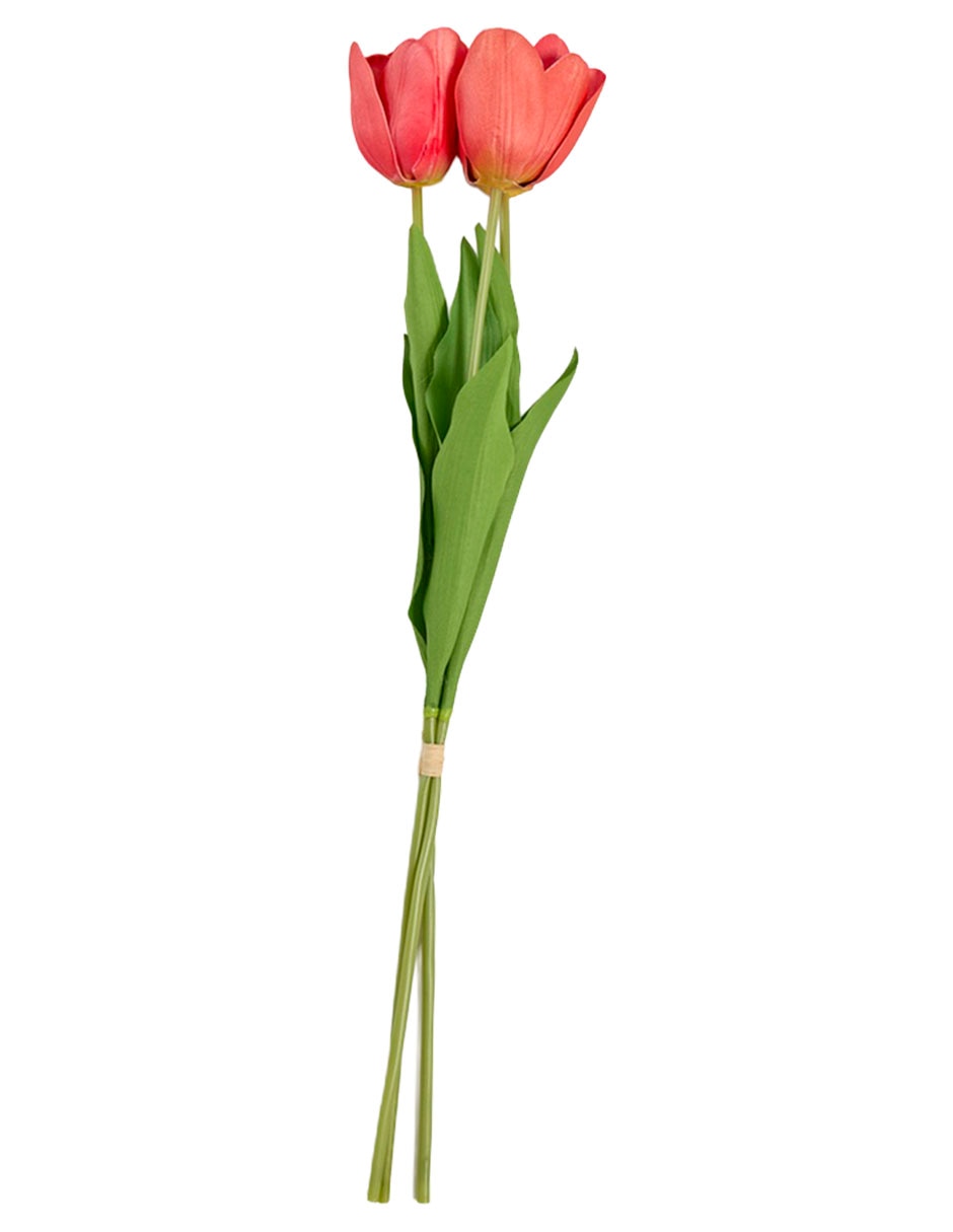 Ramo de tulipán 1