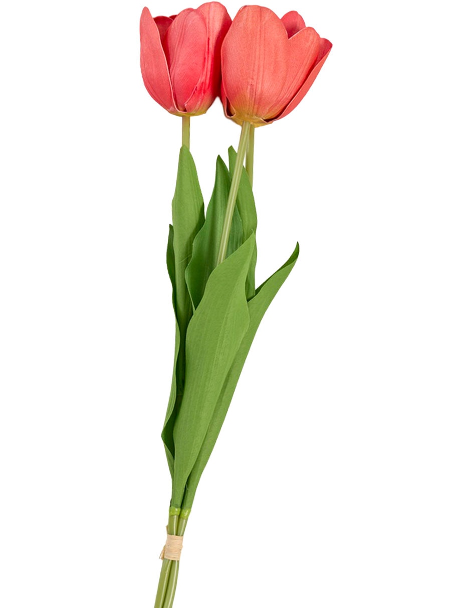 Ramo de tulipán 2