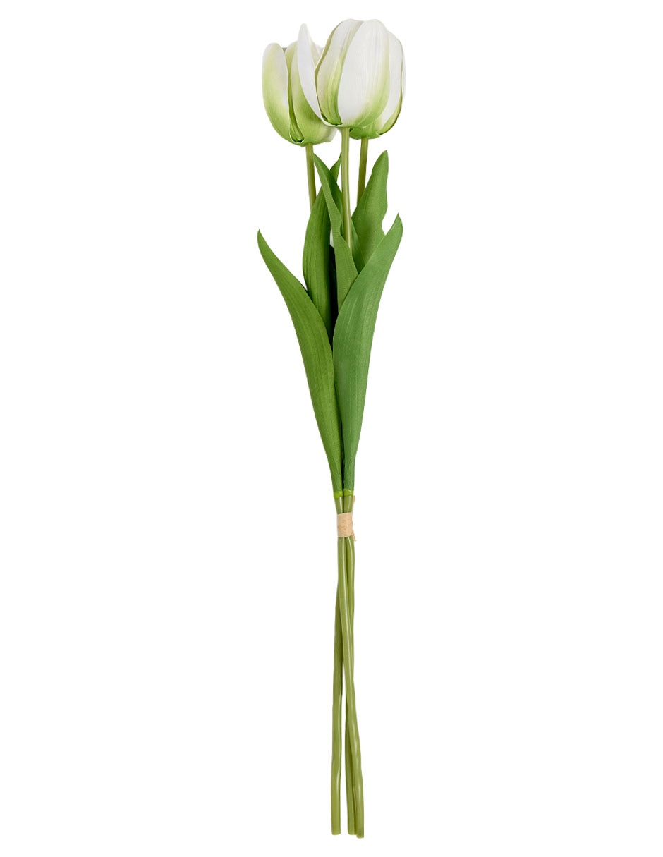 Ramo de tulipán
