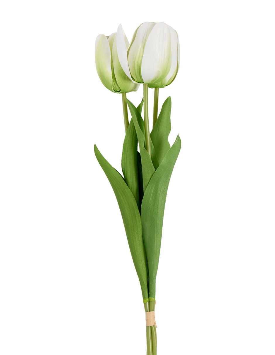 Ramo de tulipán 2