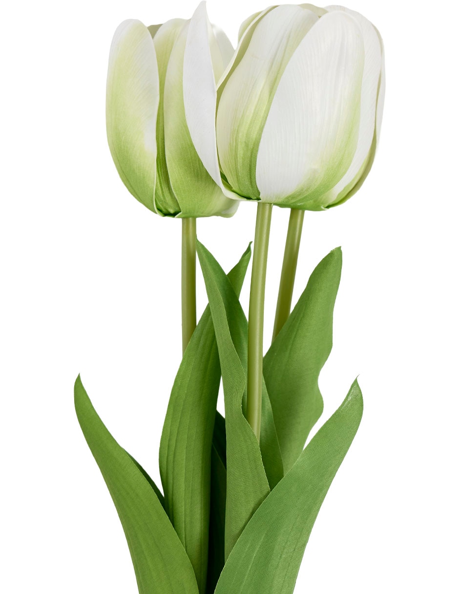 Ramo de tulipán 3