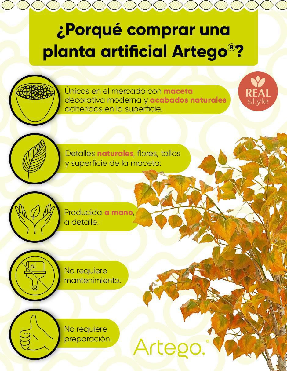 Ficus artificial 2