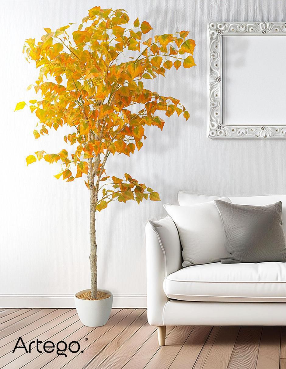 Ficus artificial 5