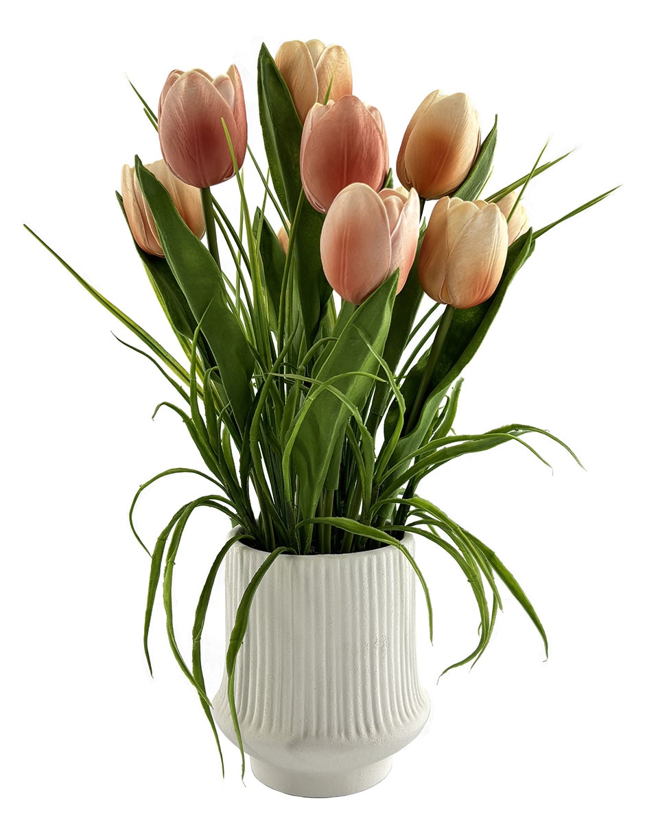 Preelaborado de tulipán