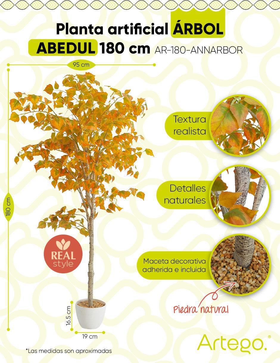 Árbol abedul 9