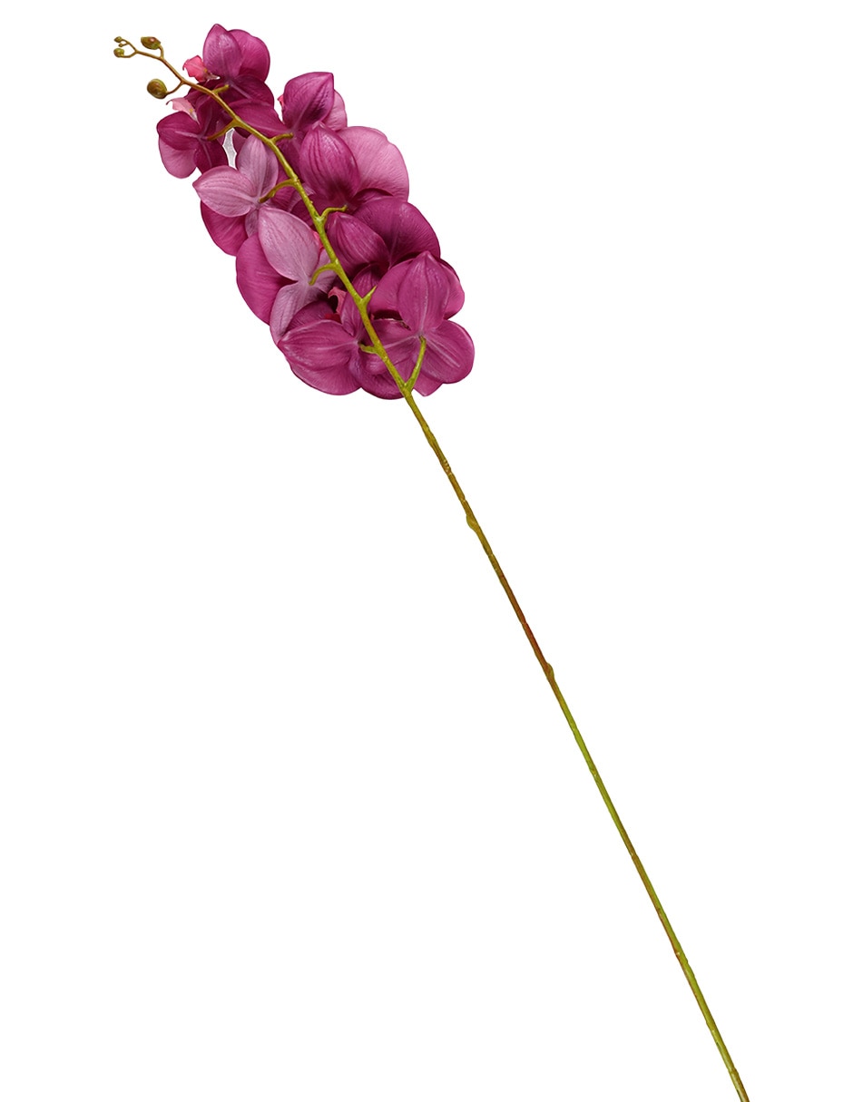 Vara de orquídea 2