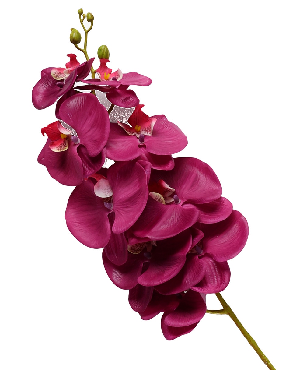 Vara de orquídea 3