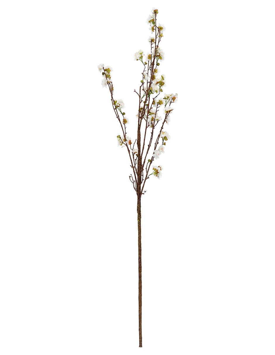 Cerezo decorativo 2