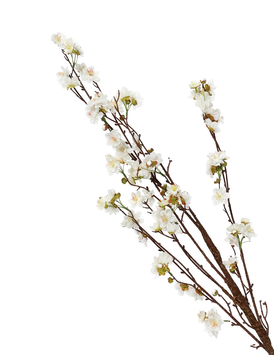 Cerezo decorativo 4