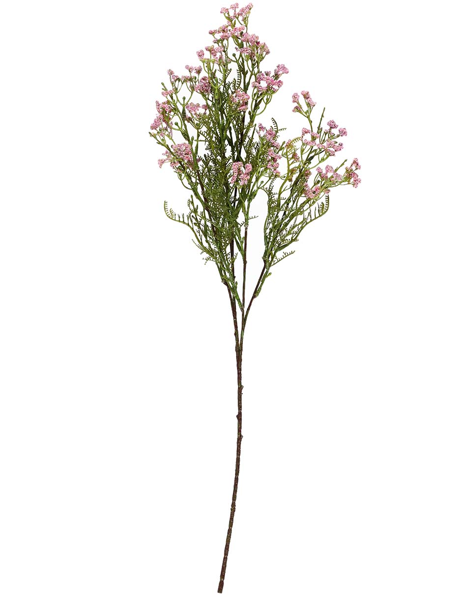 Gypsophila decorativa con acabado natural