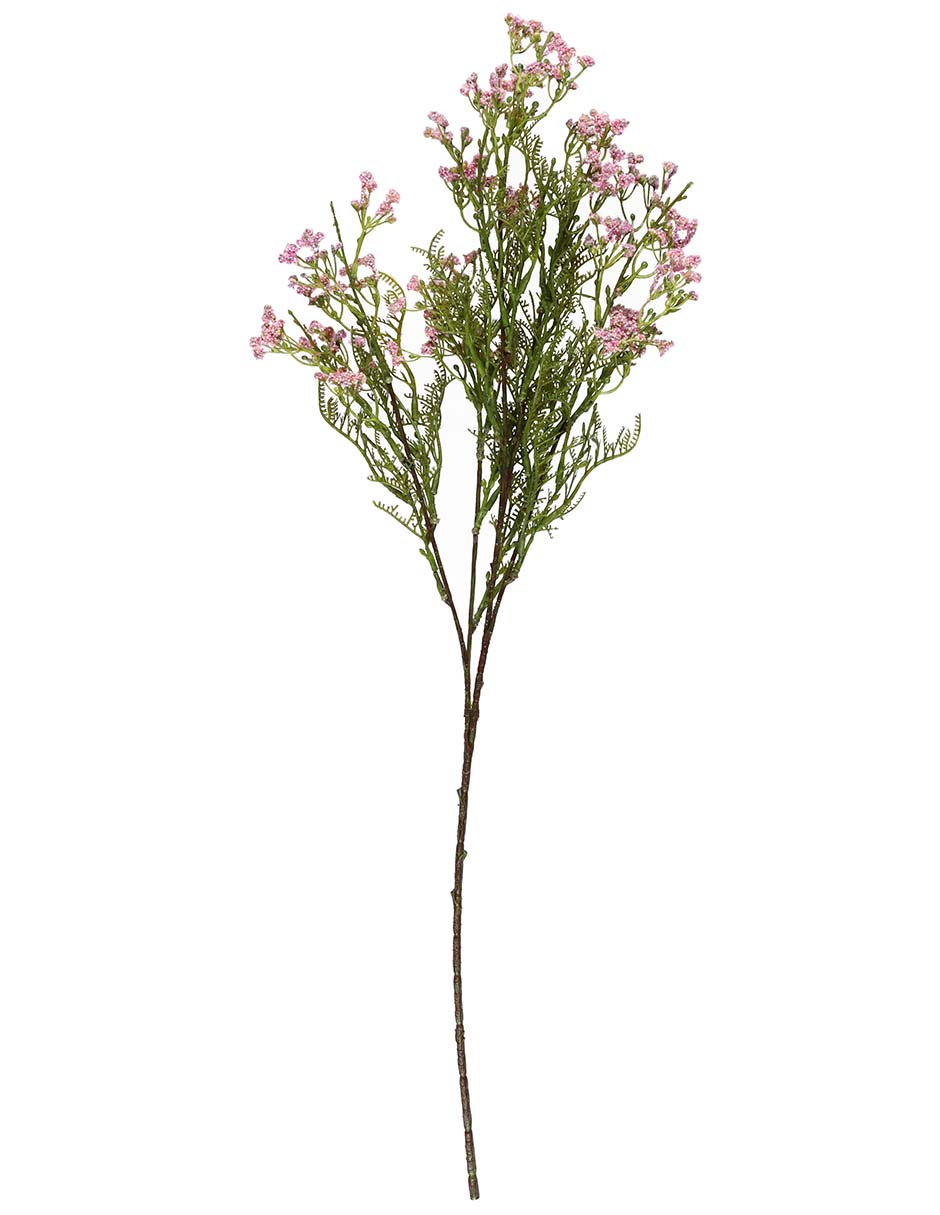 Gypsophila decorativa con acabado natural 2