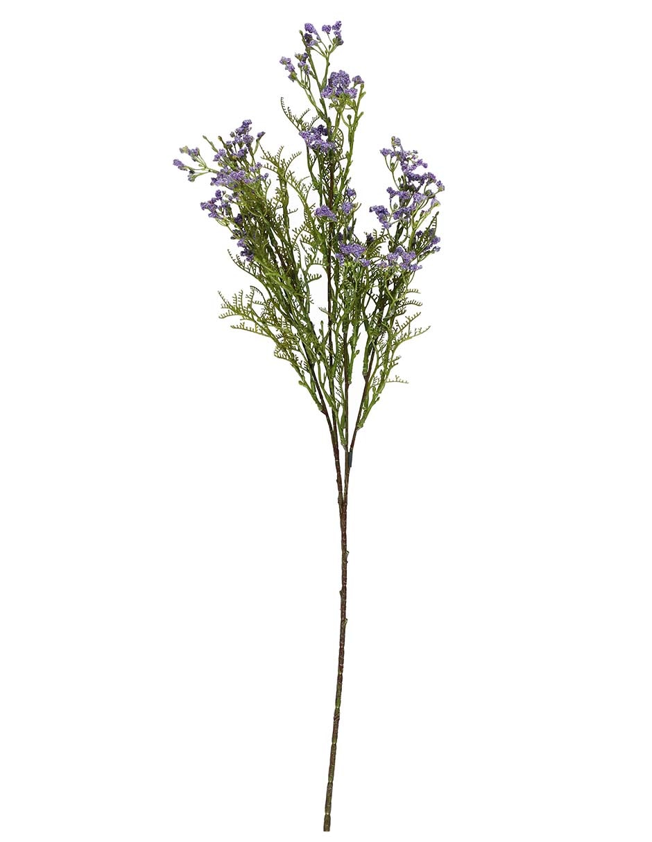 Gypsophila decorativa con acabado natural
